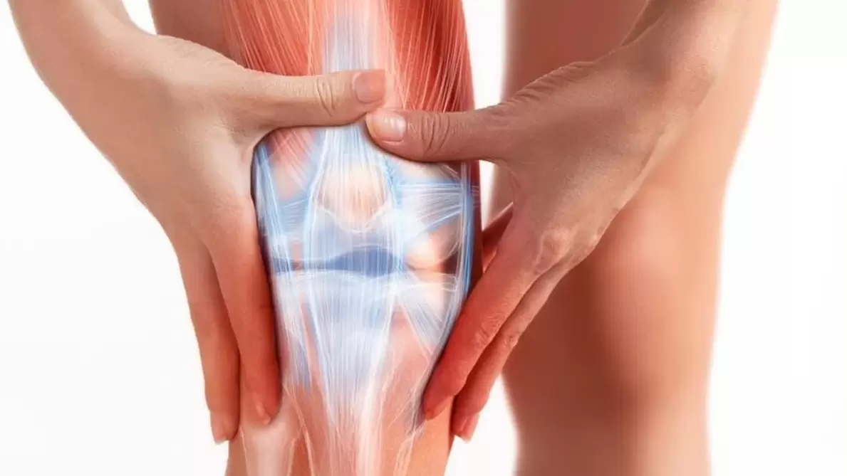 Το Osteflex Gel εφαρμόζεται στην πάσχουσα περιοχή της άρθρωσης τρεις φορές την ημέρα